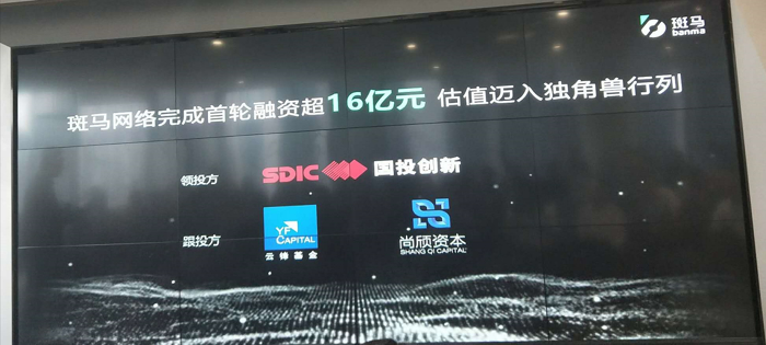 首轮融资超16亿 “混血”斑马缘何引得国投青睐？