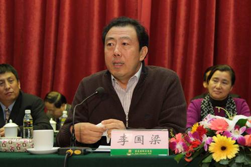 “两会”共商汽车大计 听听大佬们都说了啥？