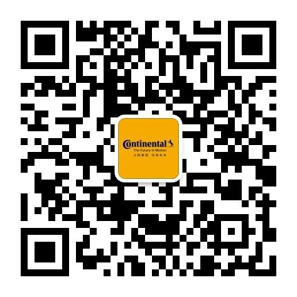 大陆集团首席技术官Dirk Abendroth:构建新的电子电器架构 应对汽车出行行业变革