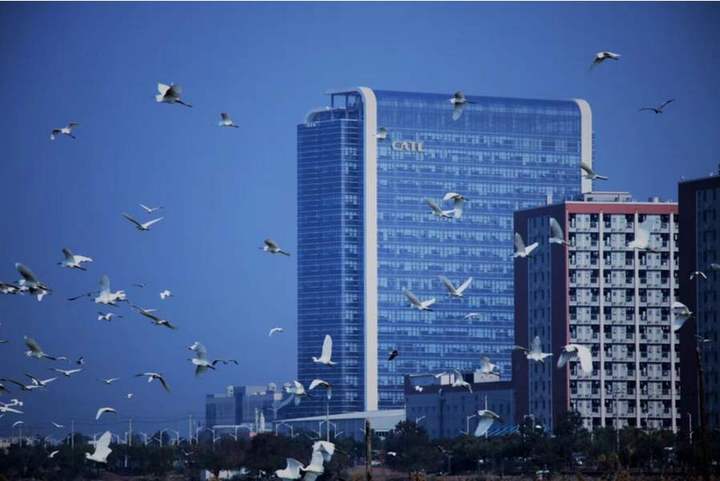 宁德时代加速出海，10年后能否保持全球20%份额？