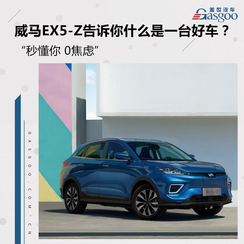 秒懂你 0焦虑 威马EX5-Z告诉你什么是一台好车？