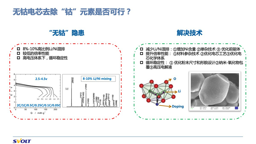 【2020汽车蓝皮书论坛】杨红新：叠片和无钴电池将成为基础性的未来趋势