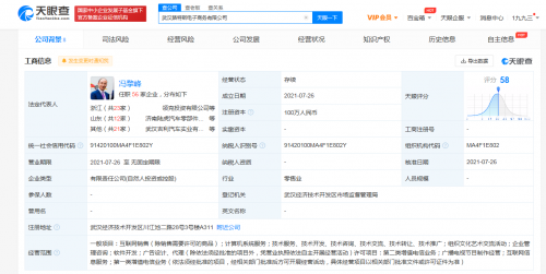 李书福参股成立武汉路特斯电子商务公司