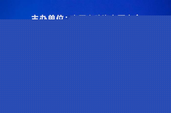 比亚迪股份有限公司董事长王传福：“深水区”无法阻止新能源汽车向前