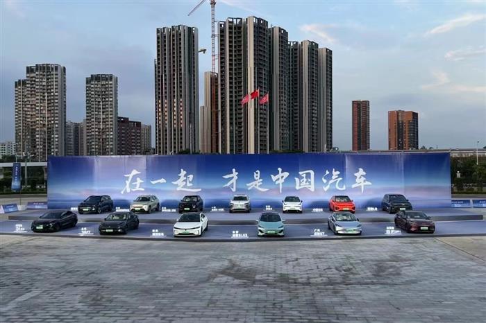 比亚迪的500万辆，王传福的泪