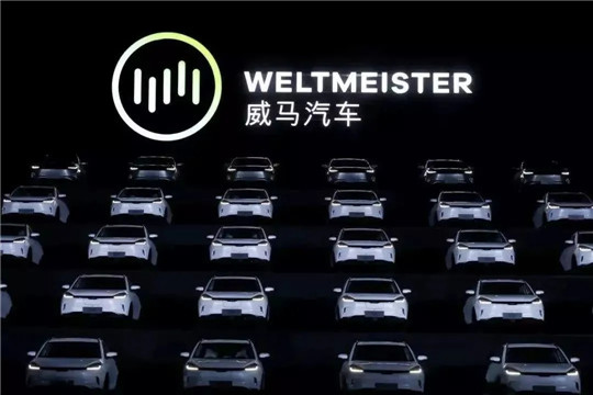 分化的新势力，驶向两极的未来