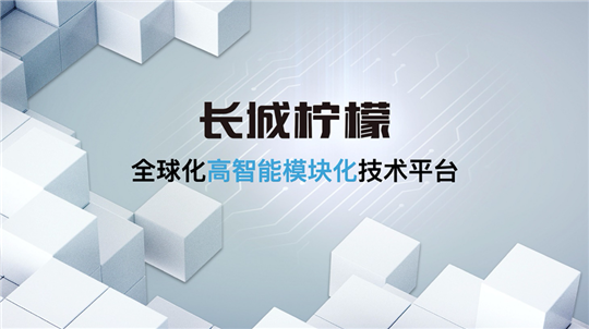 长城汽车正在跨过“长城”