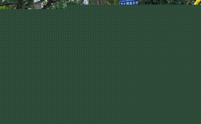 百公里加权油耗仅0.8L 比亚迪汉DM-i路试谍照曝光
